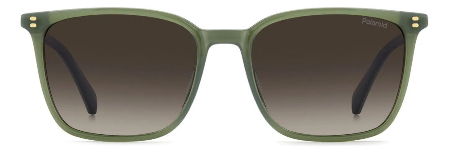 Polaroid Core PLD4207 Sunglasses - view 2